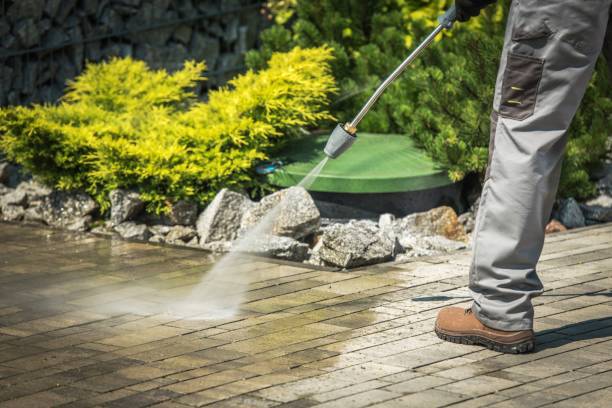 Animal Enclosure Cleaning in Summersville, WV